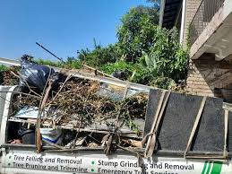 Winnemucca, NV Junk Removal Services Company